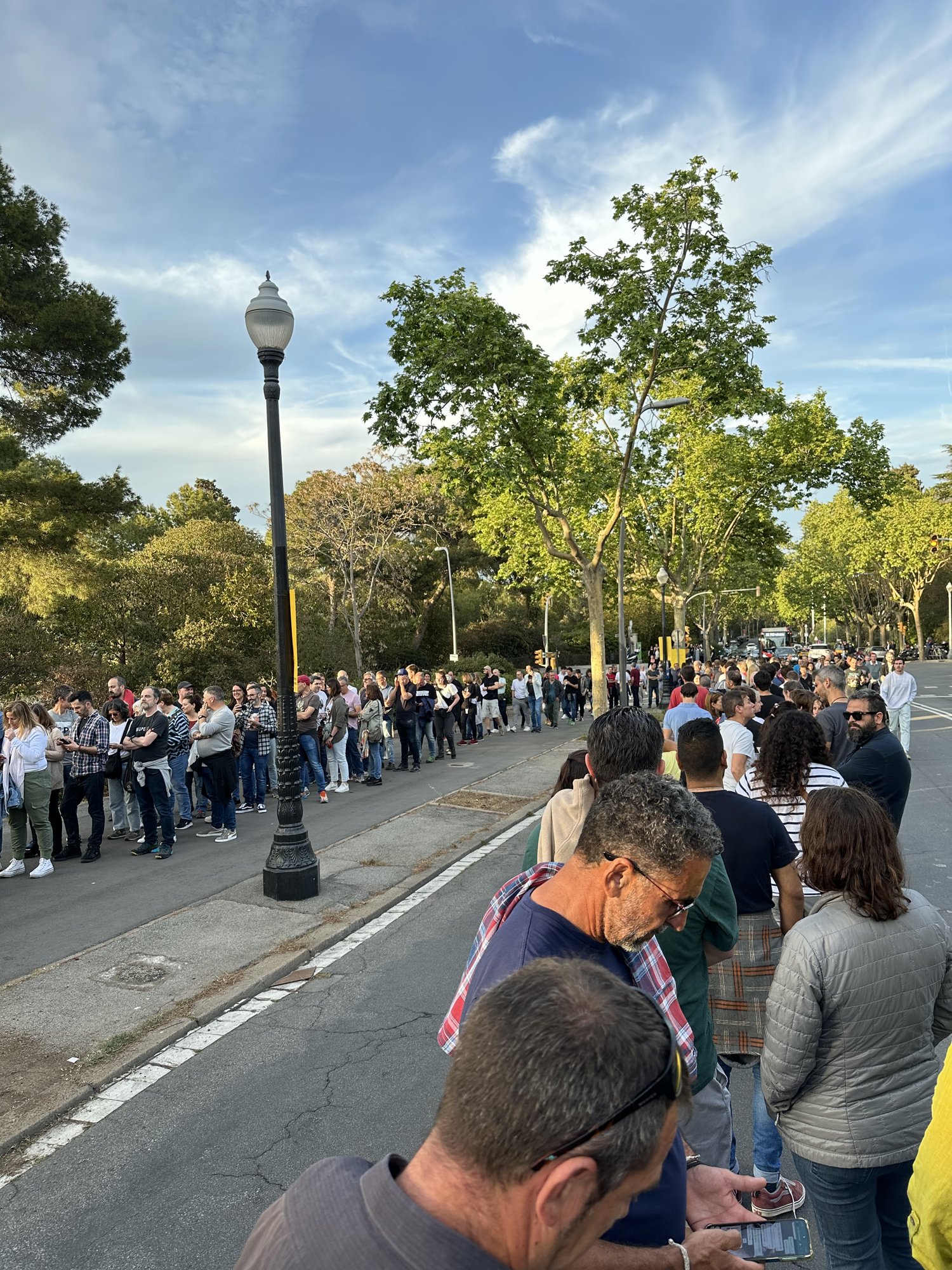 A long line of concertgoers stretching along a tree-lined road under a blue sky