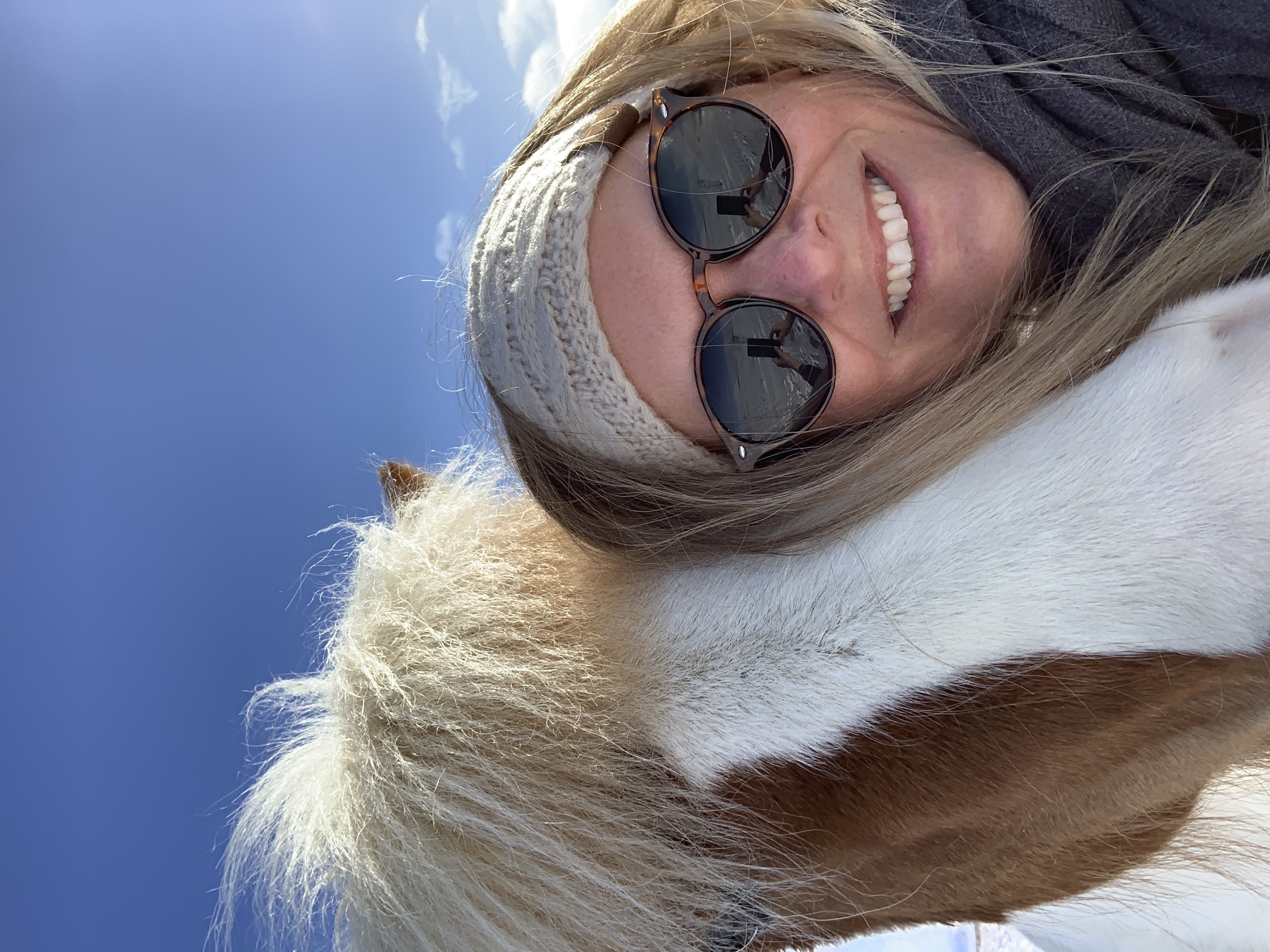 Making friends in Iceland