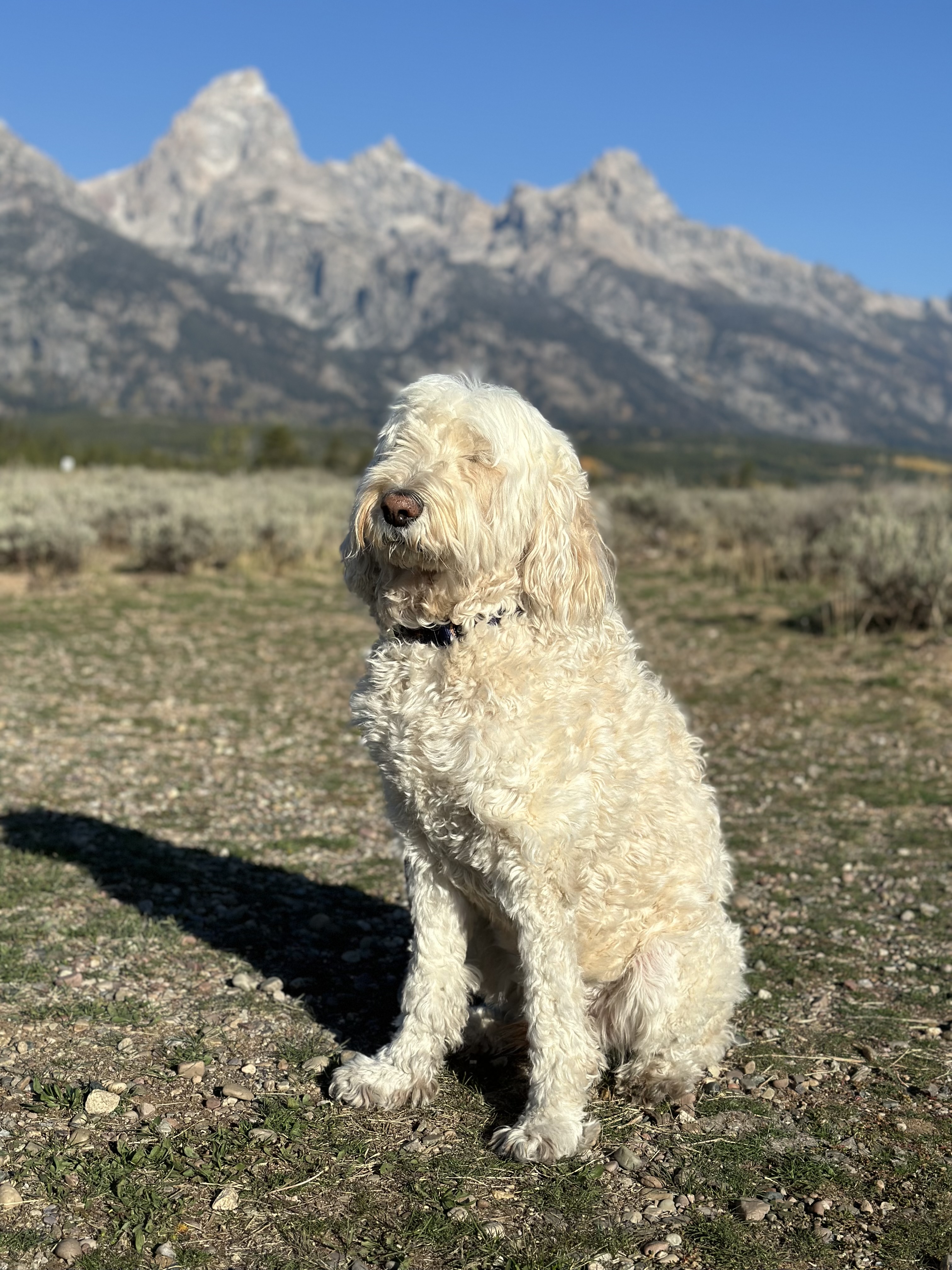 The Tetons