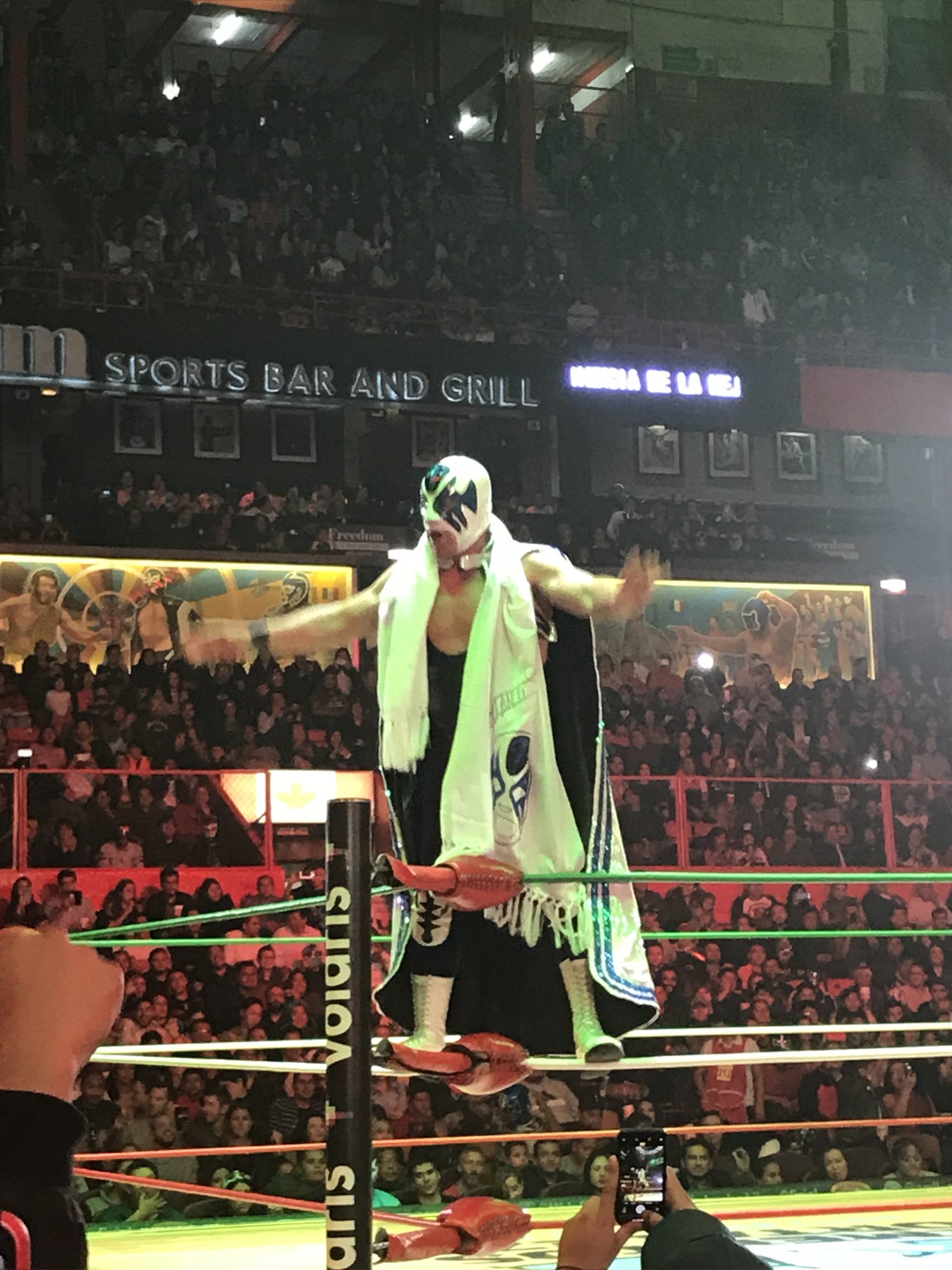 A masked wrestler in green standing on the ring ropes above a cheering crowd at Arena México