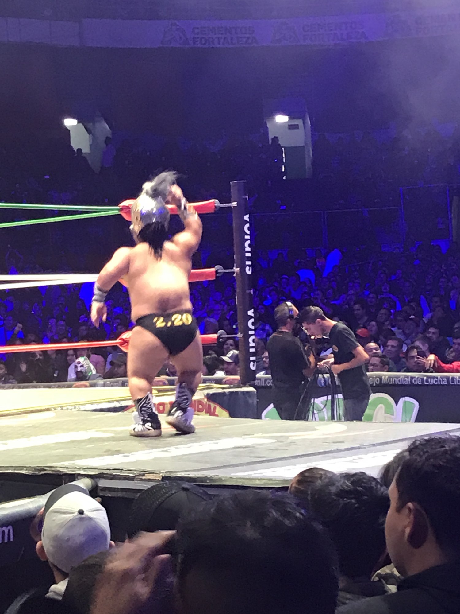 A masked wrestler posing in the ring under purple lights
