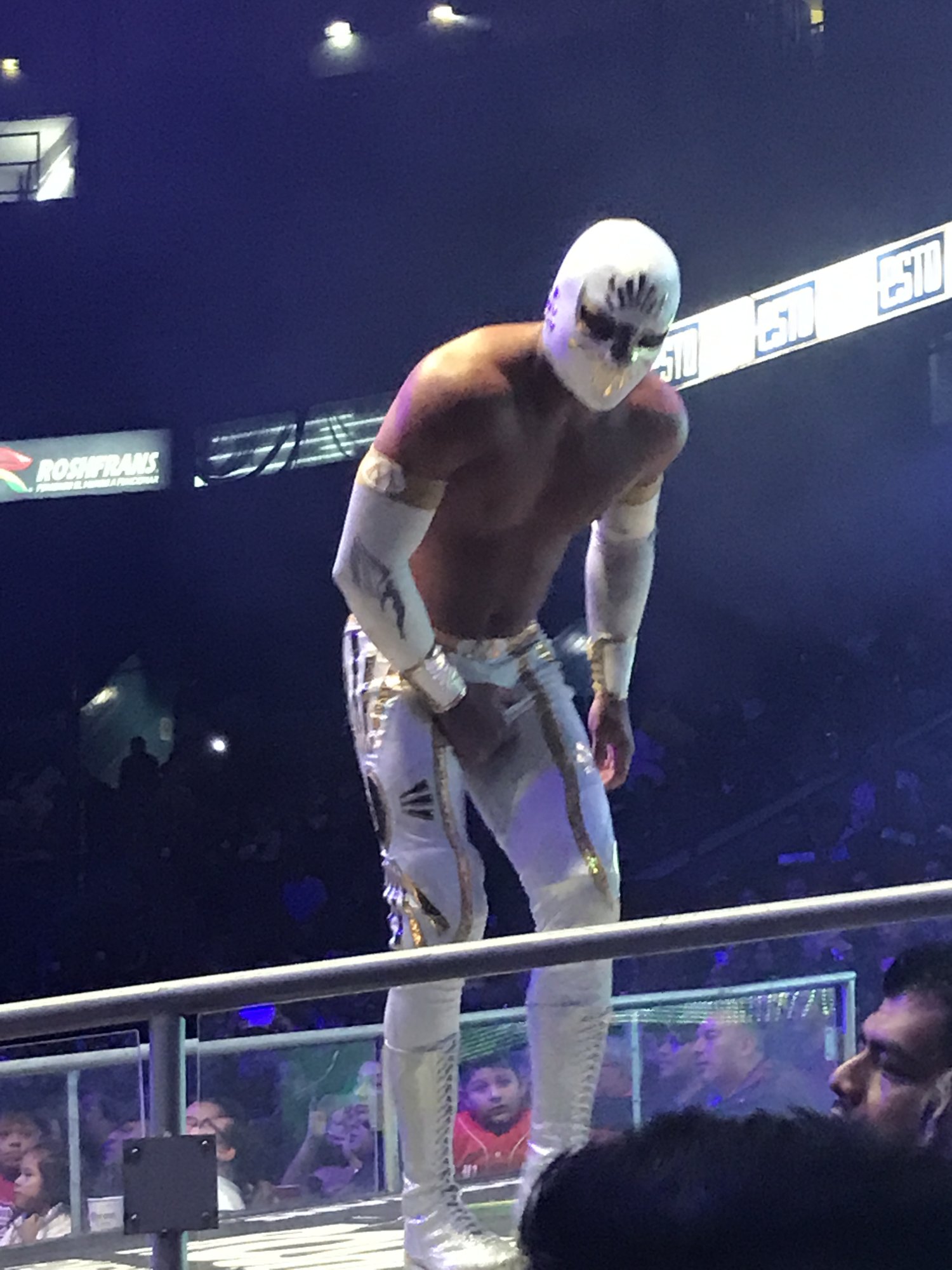 A wrestler in a white mask crouched on the top rope above the crowd