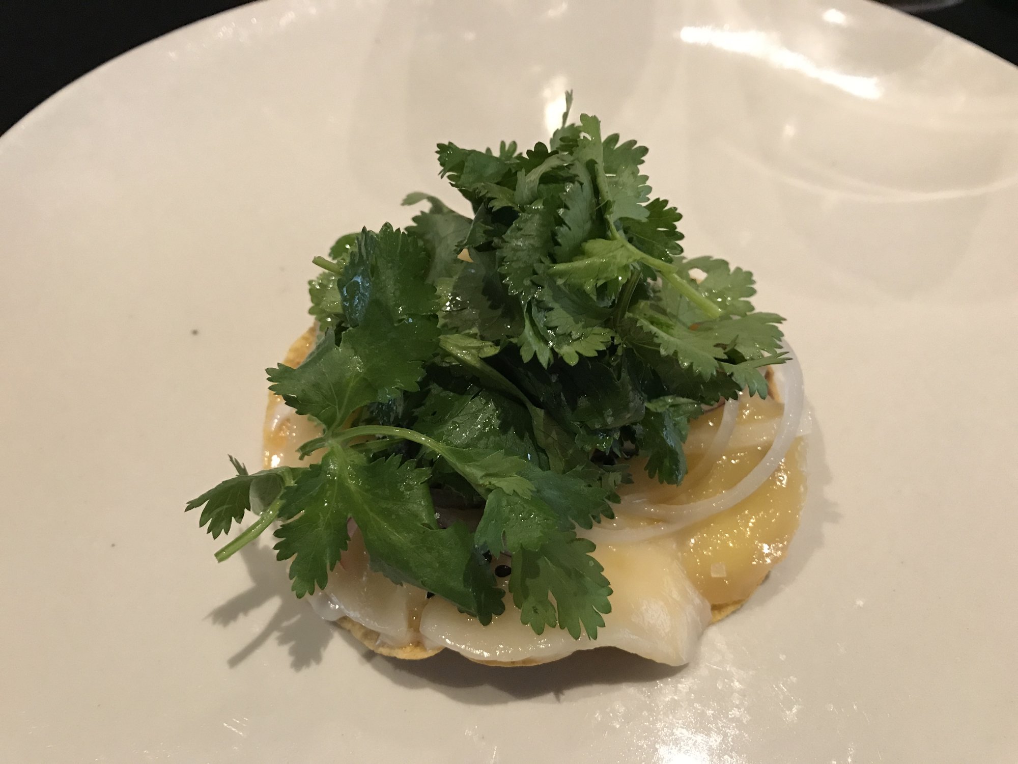 A small taco piled high with fresh herbs on a white plate