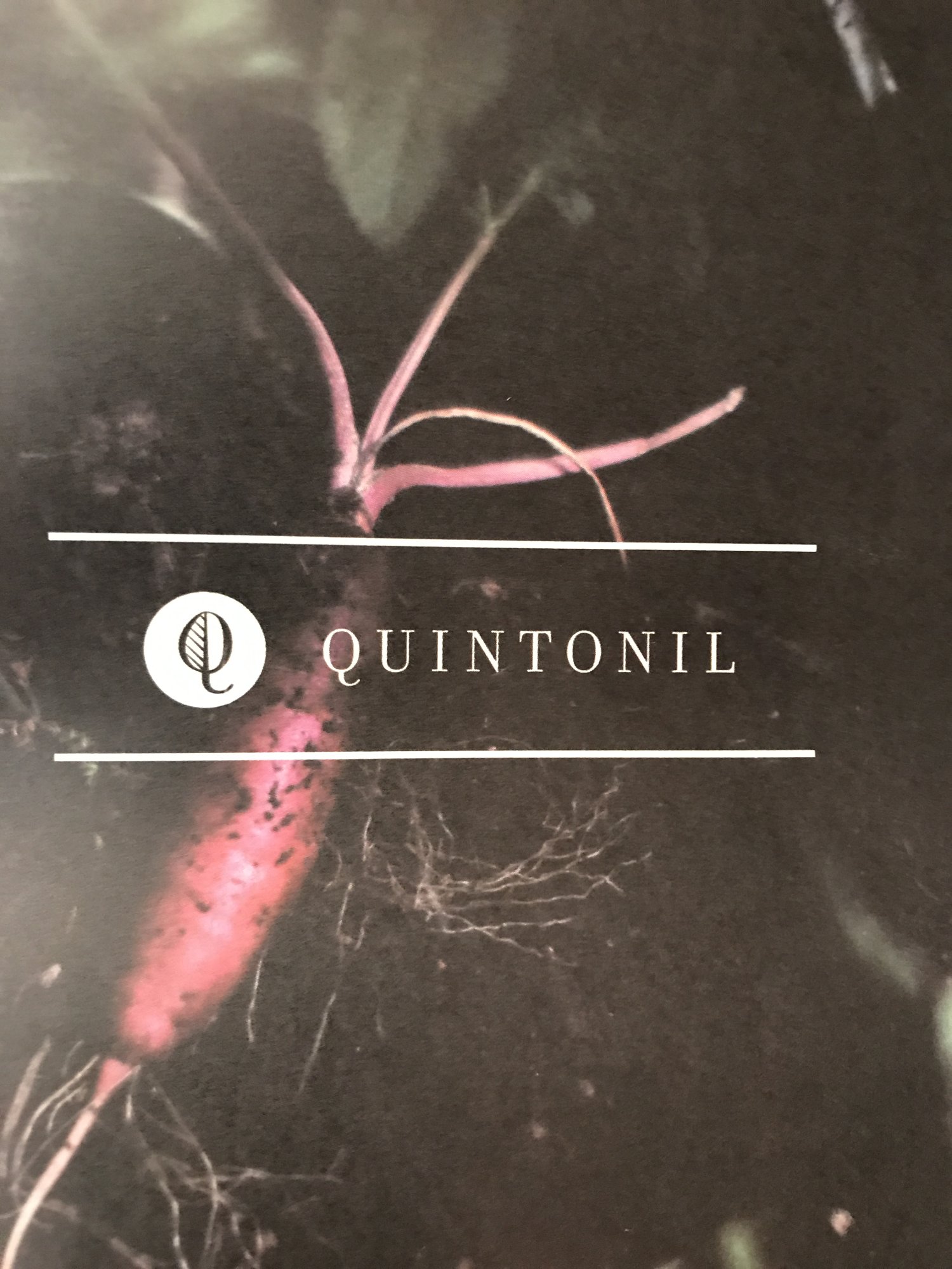 Quintonil&rsquo;s menu card with a pink flower illustration