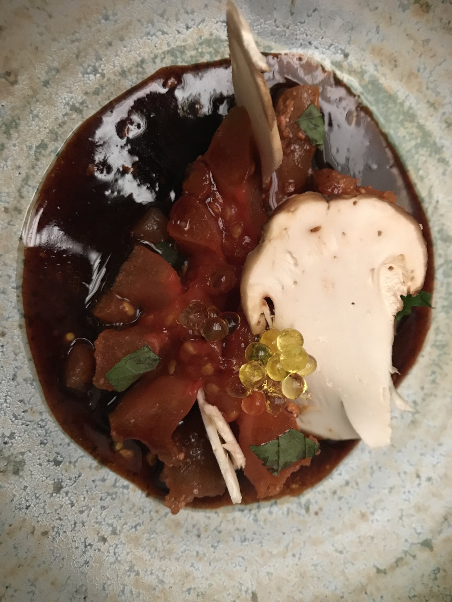 A dark mole stew topped with a sliced white mushroom