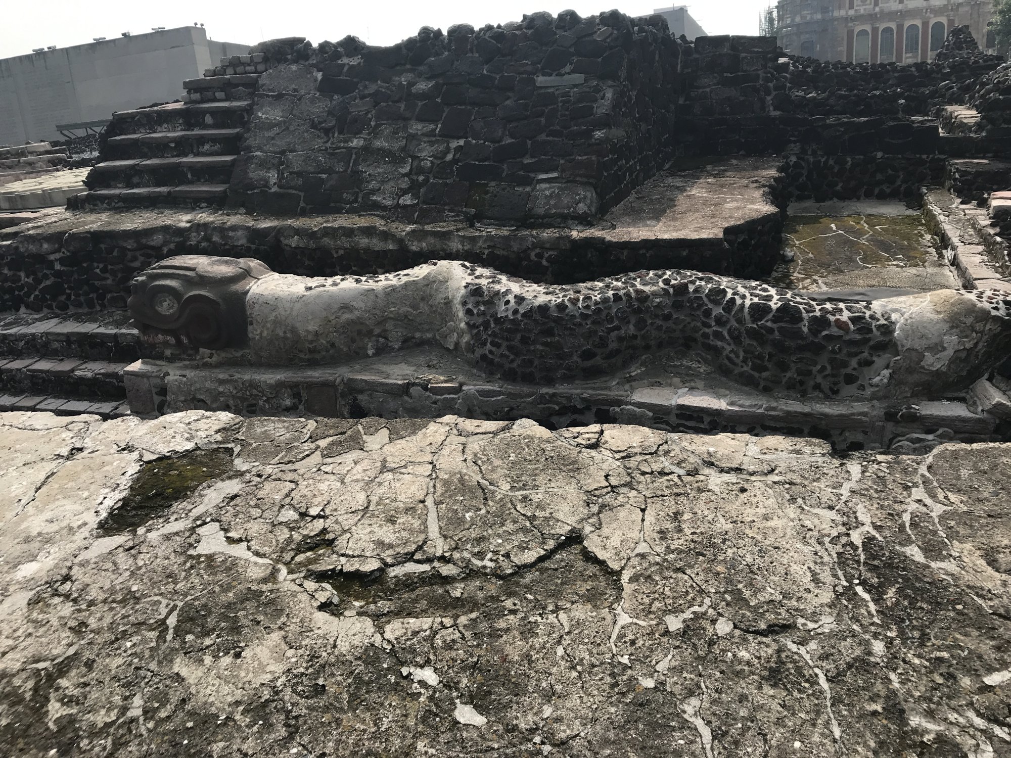 A carved stone serpent body running along an excavated wall at Templo Mayor