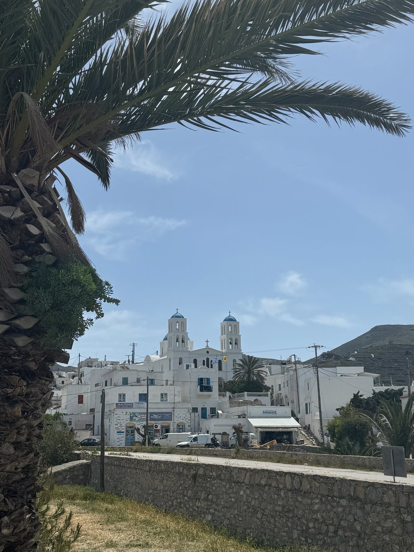 The twin blue-domed bell towers of the Katapola church framed by palm fronds