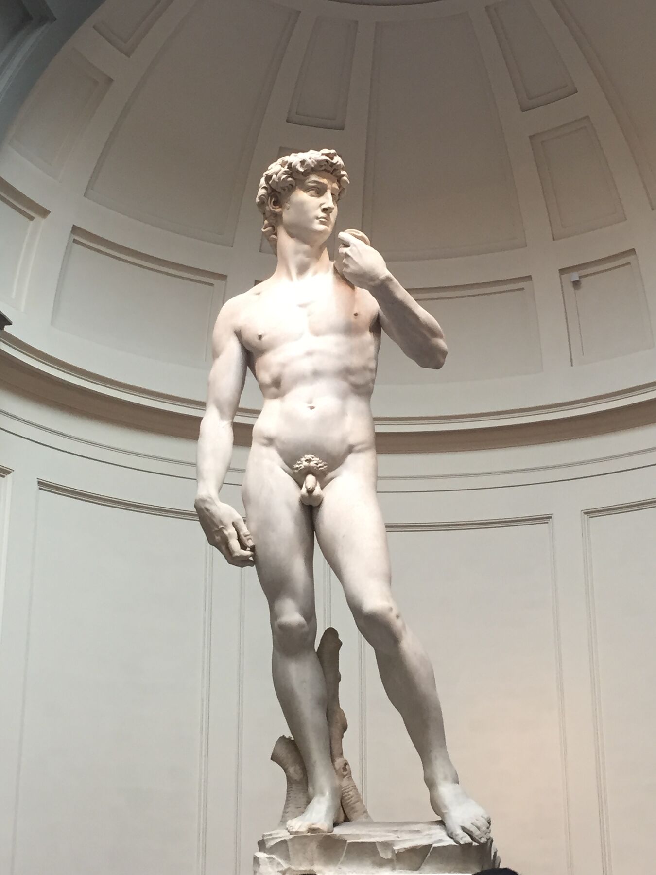 David, up close at the Accademia