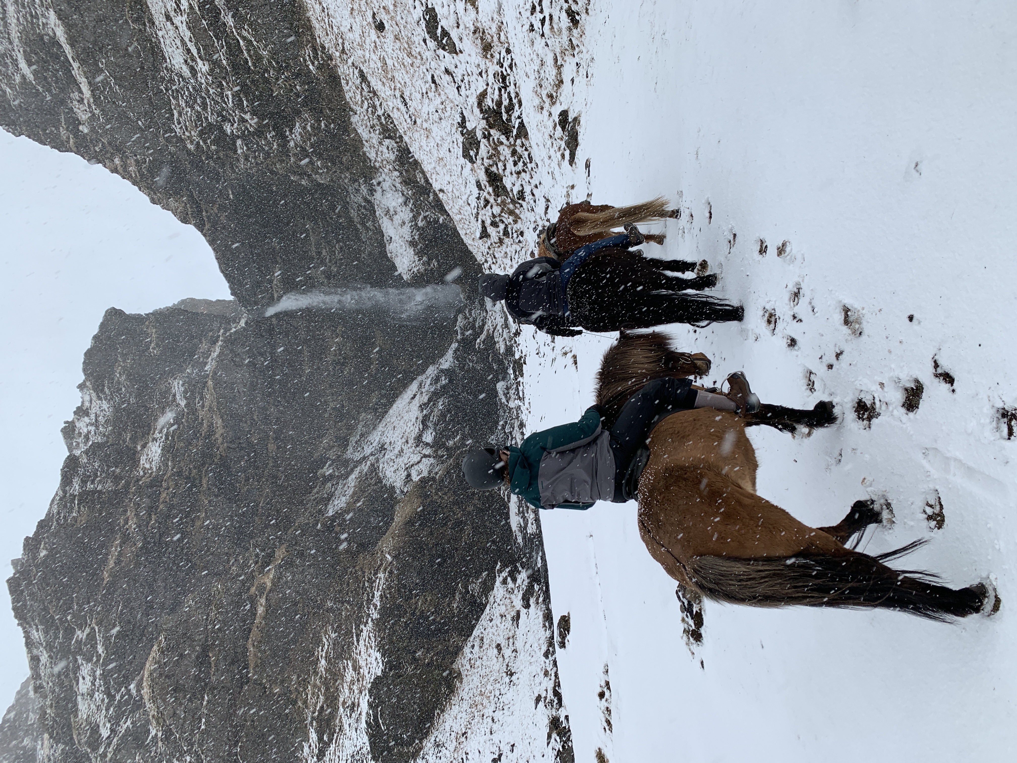 Horseback riding at Skálakot in the snow