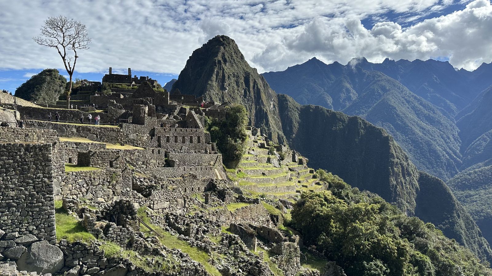 Stone terraces and walls with a bare tree, and Huayna Picchu behind