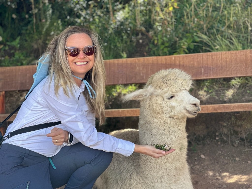 She-Stache crouching to hand-feed an alpaca