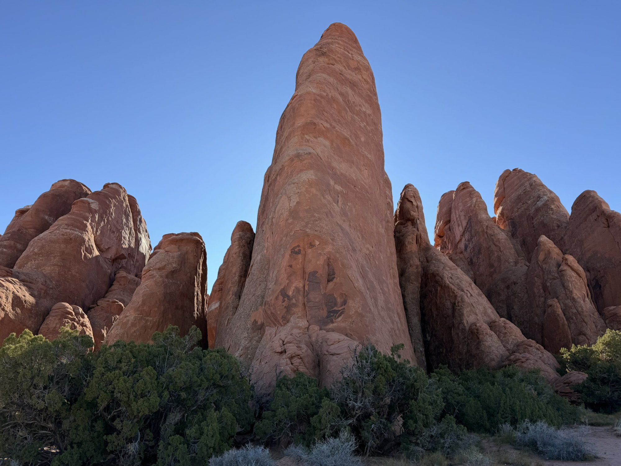 A tall red sandstone fin rising above juniper bushes in Arches National Park