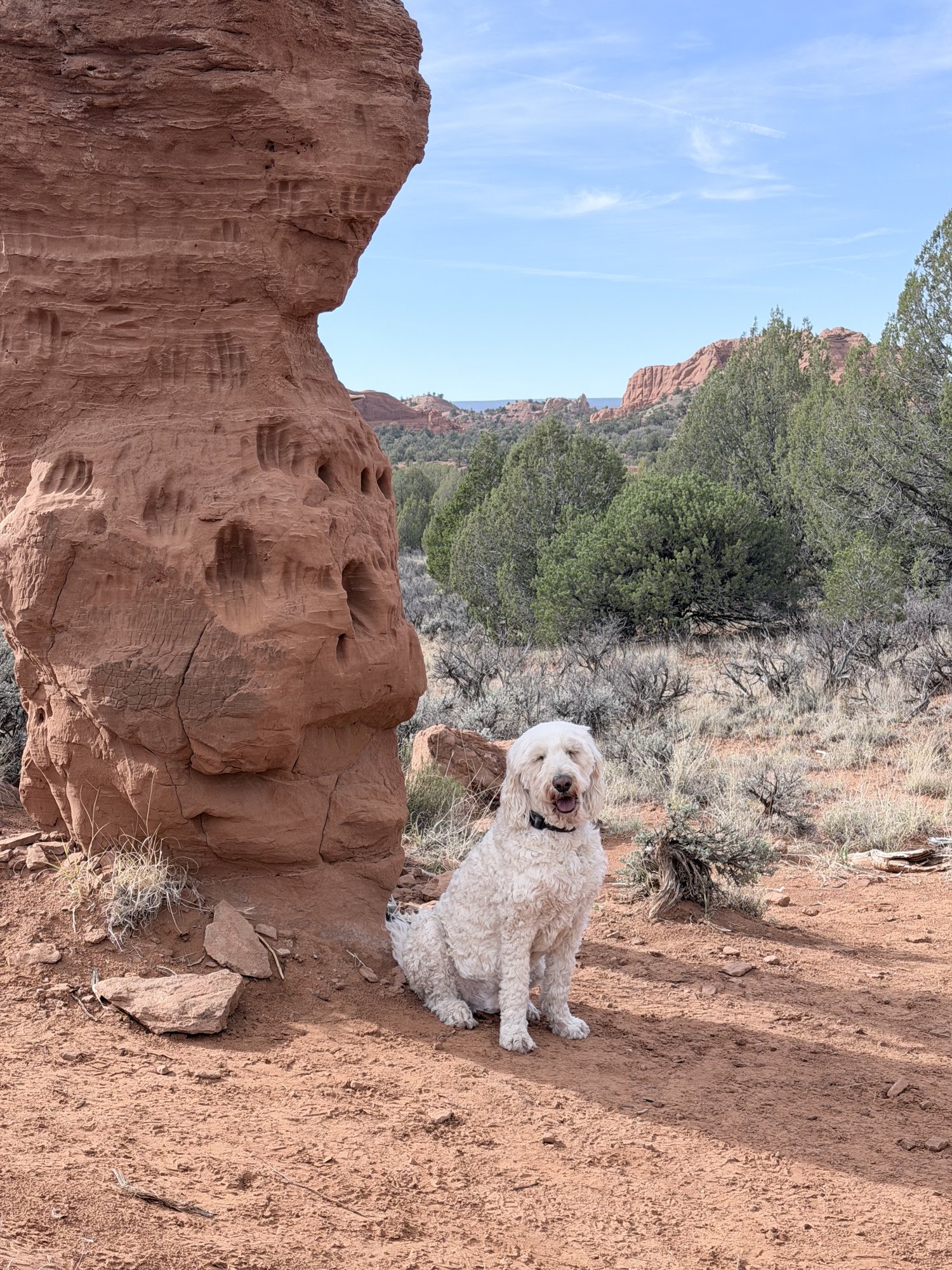 Pup-Stache sitting in the red dirt beside a sandstone hoodoo at Kodachrome Basin, junipers and red cliffs behind him
