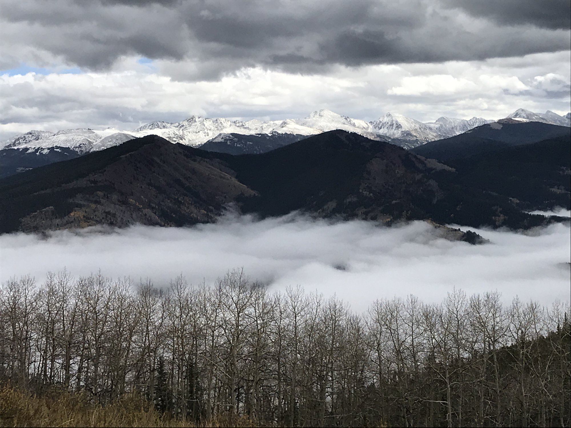 Snow-dusted peaks rising above a sea of low clouds, with bare aspens in the foreground