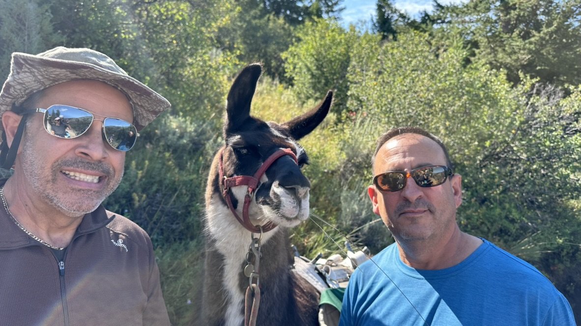 He-Stache and a Scout-Stache in sunglasses posing on either side of a llama
